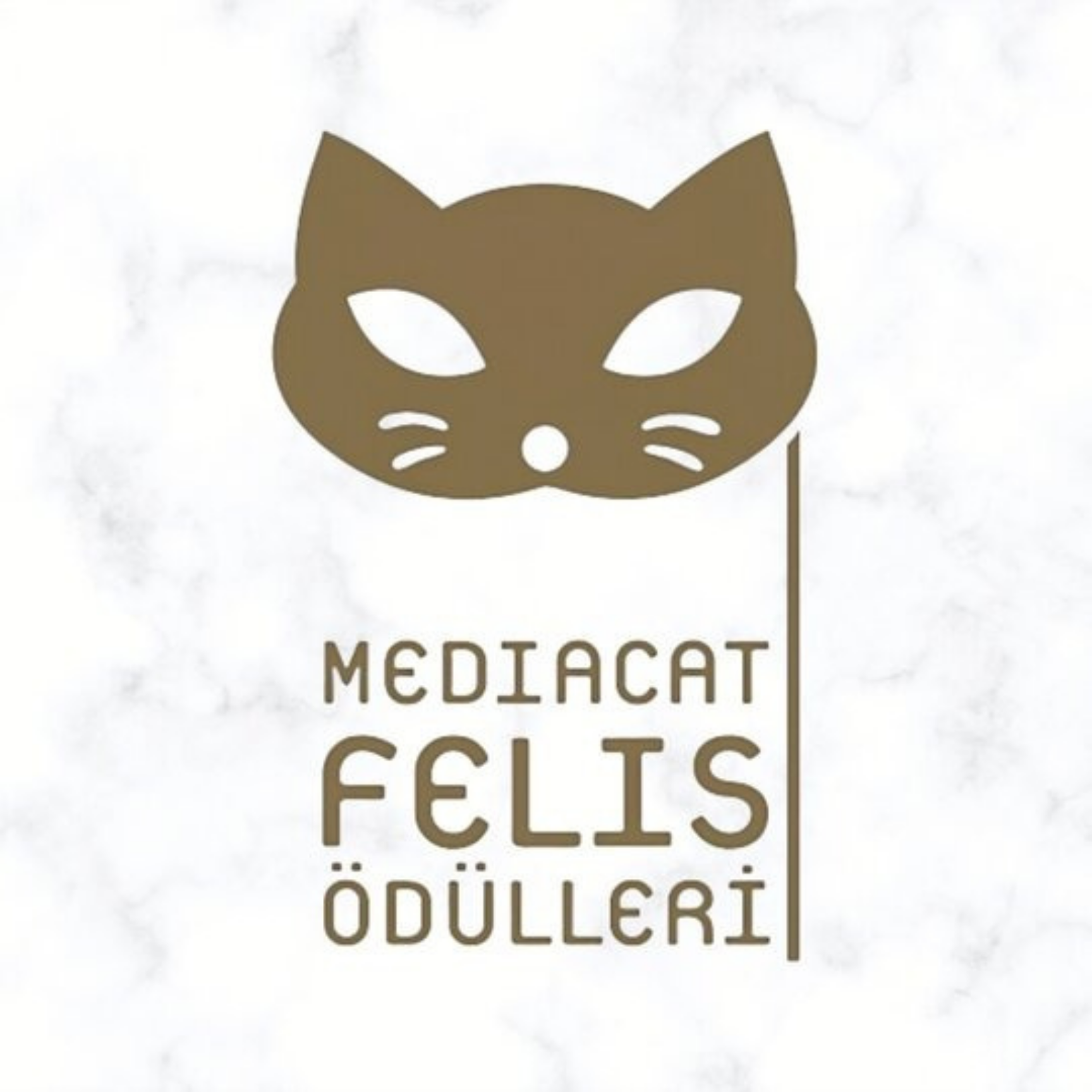 Mediacat award